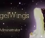 angelwings2 AnGel-WinGs.nl
