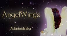 Kerstkaart van Angel-Wings.nl