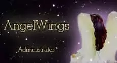 angelwings2 AnGel-WinGs.nl