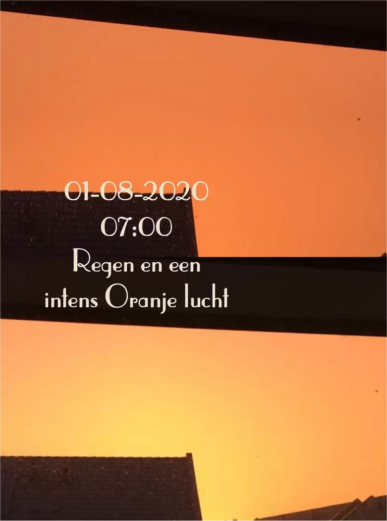orange AnGel-WinGs.nl