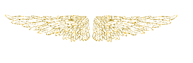 ae6c37439db6c7aa8d173382d86c52ca AnGel-WinGs.nl